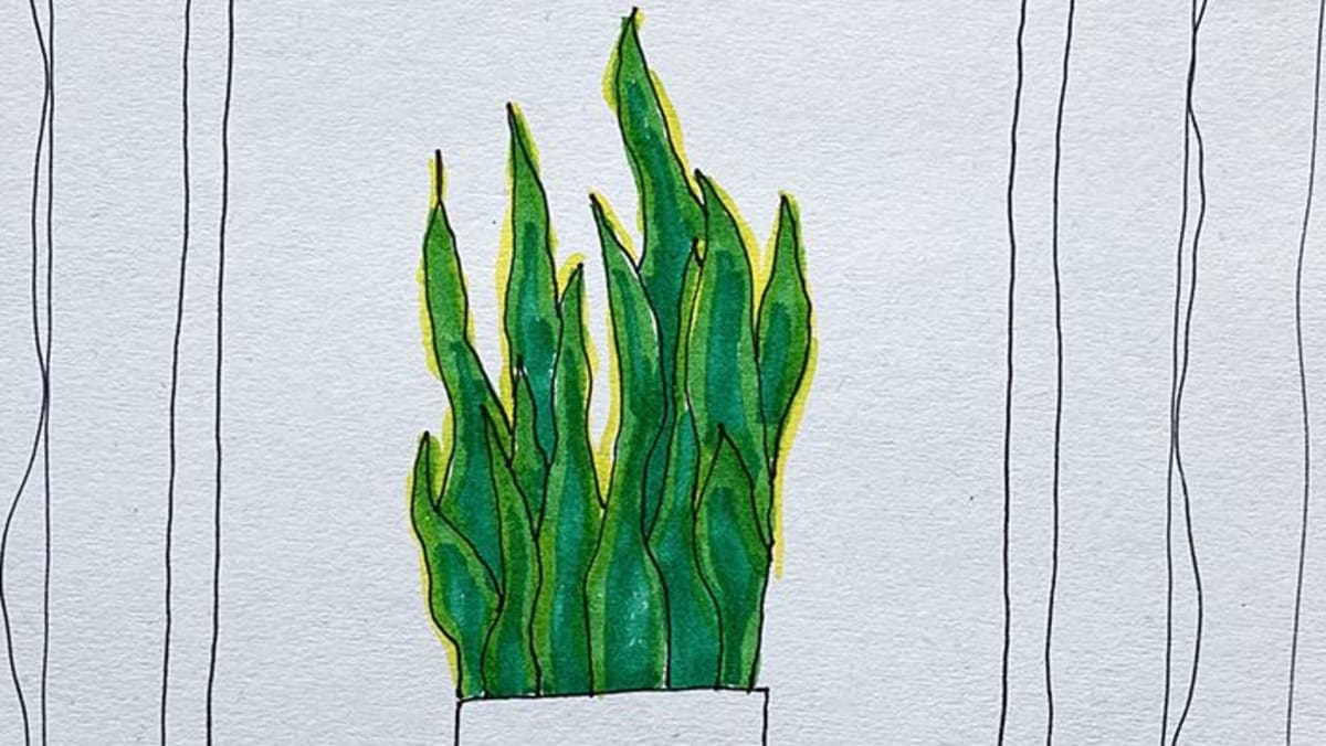 How To Draw: A Plant